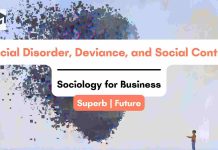 Social Disorder, Deviance, and Social Control