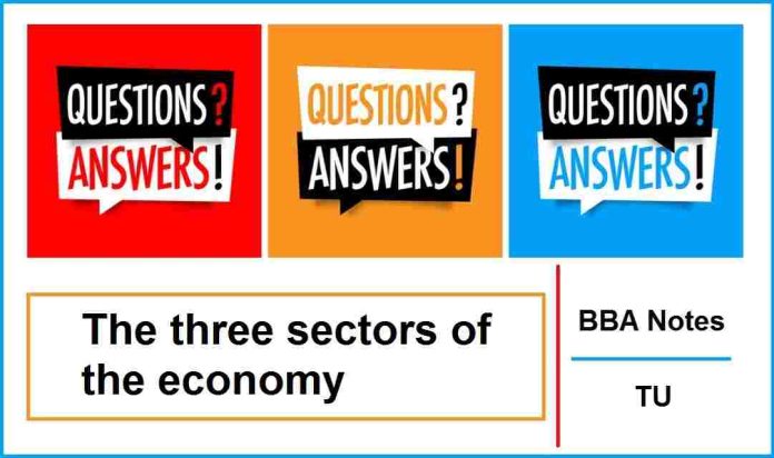 The Three Sectors of the Economy (QnA)