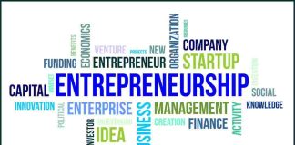Introduction (Entrepreneurship)