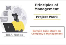 Sample Case Study on Company’s Management